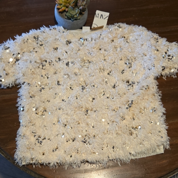 Zara Sweaters - Zara Cream Sequin Top